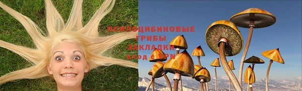 мдпв Переславль-Залесский