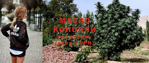 трава Гатчина
