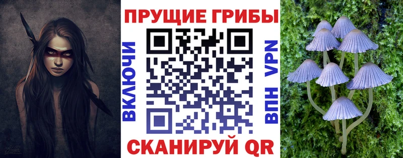 кракен ссылки  как найти наркотики  Юрьев-Польский  Псилоцибиновые грибы Psilocybine cubensis 